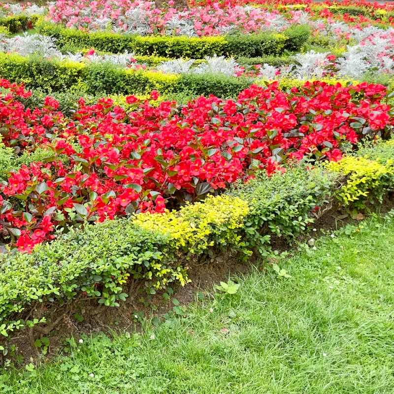 Gerbe jardin à l'anglaise
